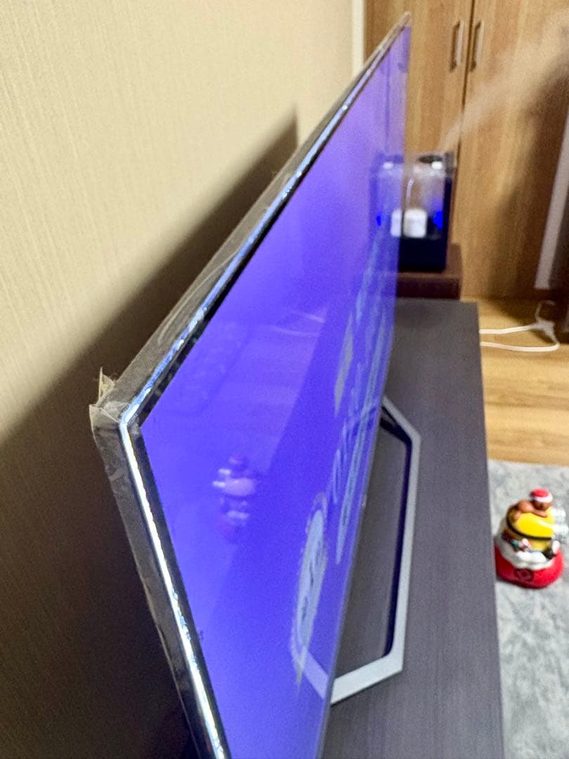 テレビ　55インチ　説明書付き