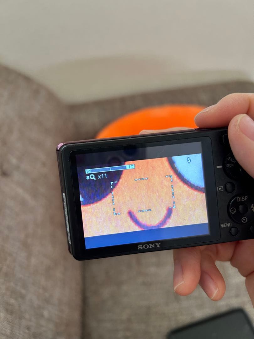 【動作品】【最終値下げ】SONY Cyber shot DSC-W380