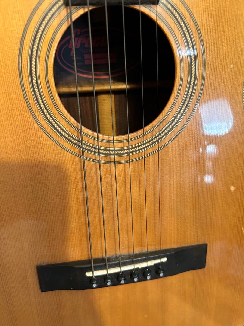 Greco アコースティックギター