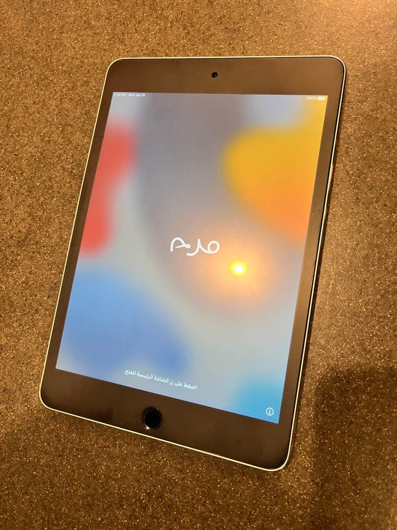 iPad mini 4 Wi-Fiモデル 128GB MK9N2J/A