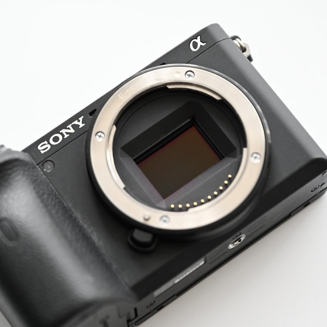 防湿庫保管｜SONY a6600 ＋ Gレンズ 18-105mm F4
