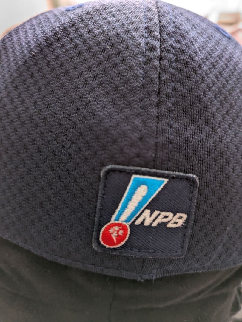 東京ヤクルトスワローズ。 並木選手実使用キャップ。