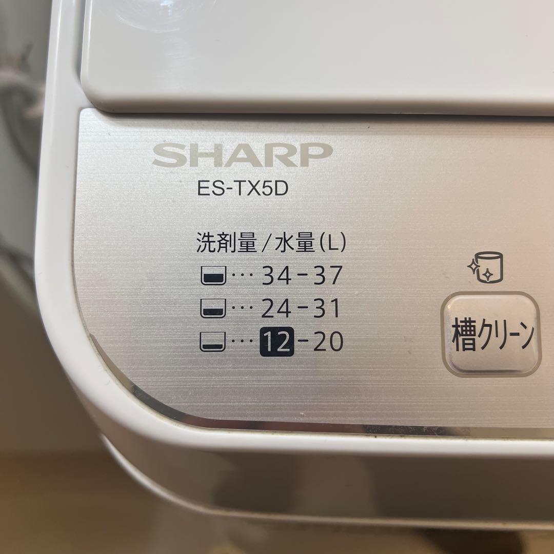 【美品】パナソニック 洗濯機 ES-TX5D-S 2020年製 給・排水ホース付