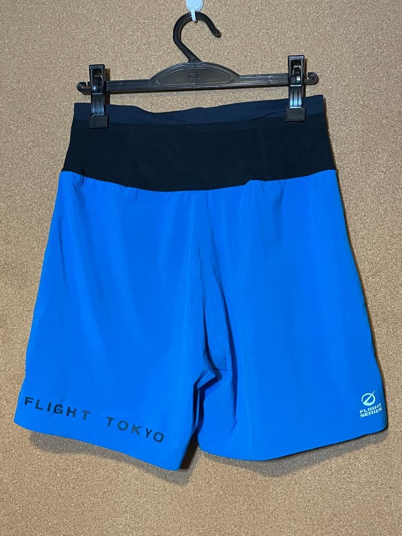 【限定モデル】THE NORTH FACE エンデュリスレーシングショーツ