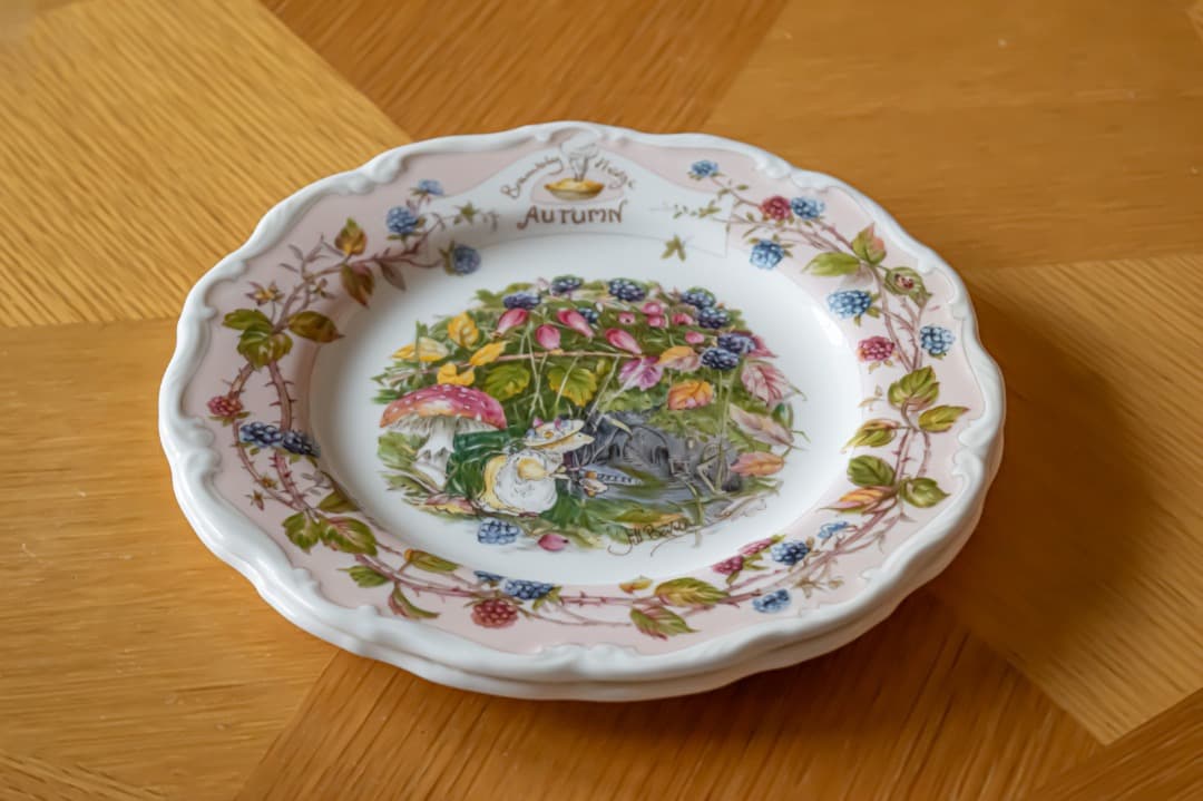 【最終値下】ロイヤルドルトン ブランベリーヘッジ 20.5cmプレート4枚＋２枚