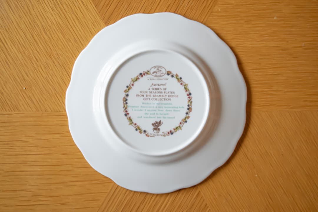 【最終値下】ロイヤルドルトン ブランベリーヘッジ 20.5cmプレート4枚＋２枚