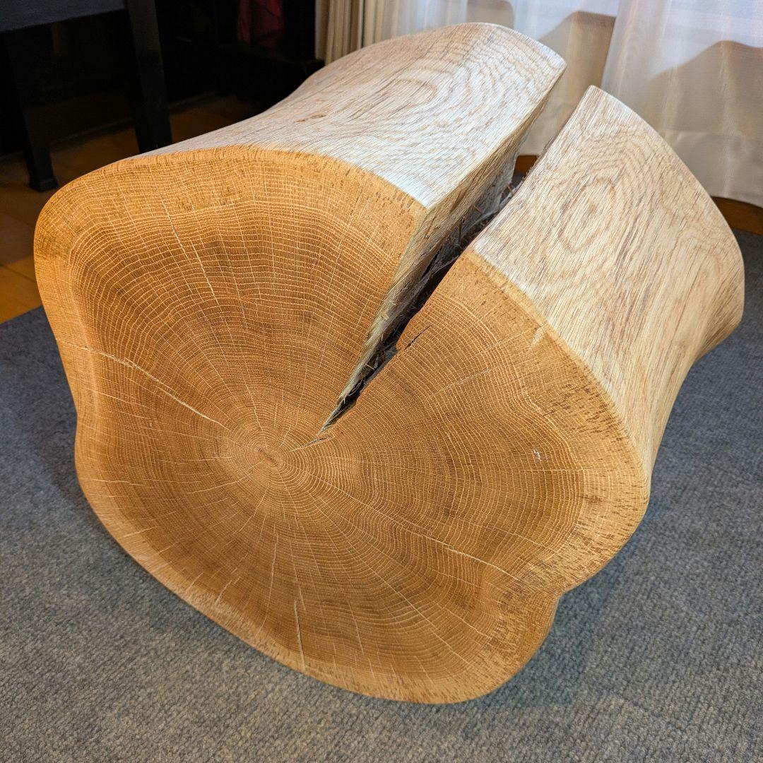 3104　　ミズナラ　水楢　天然木　切り株　丸太　輪切り　高さ約28㎝