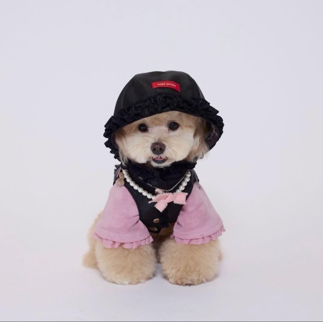 韓国犬服ブランド　cozyn ジャンパーハーネス　ドッグウェア　犬用ハーネス