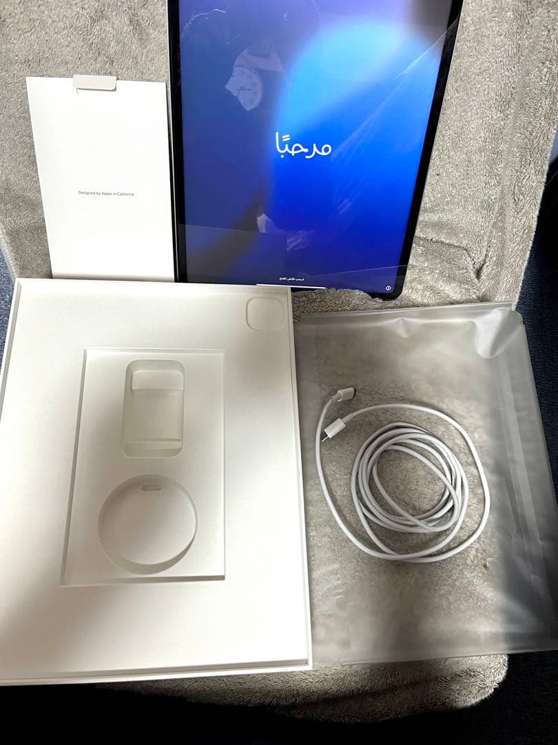 美品　iPad Pro M1チップ 12.9インチ　256GB おまけ有り