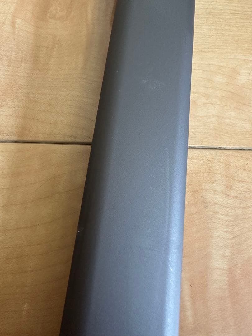 掃除機・クリーナー Digital Slim Fluffy Optic SV18 FF PL PU