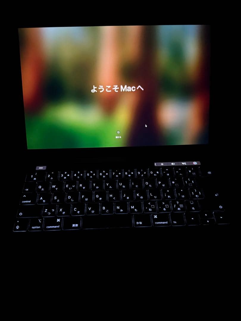 MacBook本体 MacBook Pro 256GB