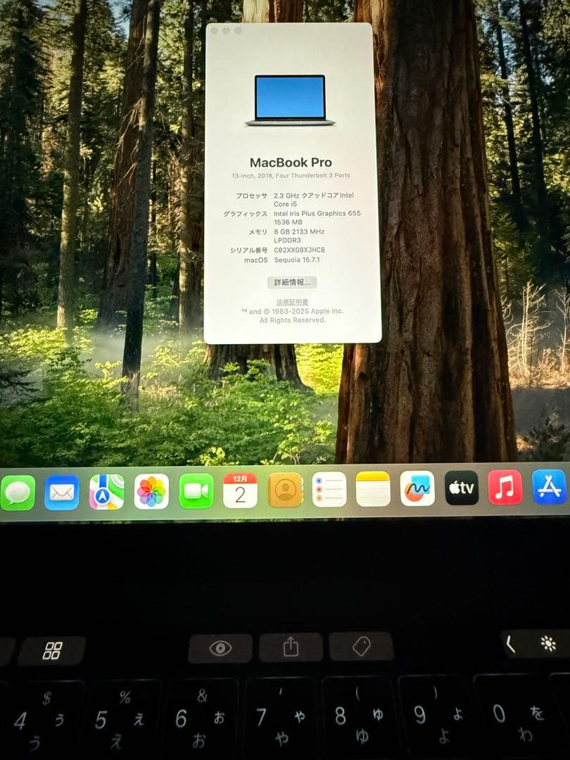 MacBook本体 MacBook Pro 256GB