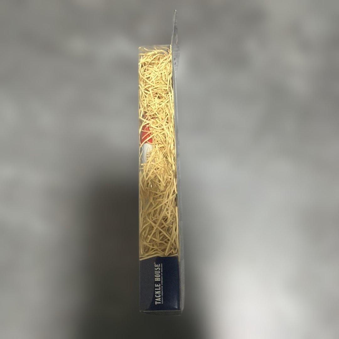 タックルハウス　ソルティシャッド