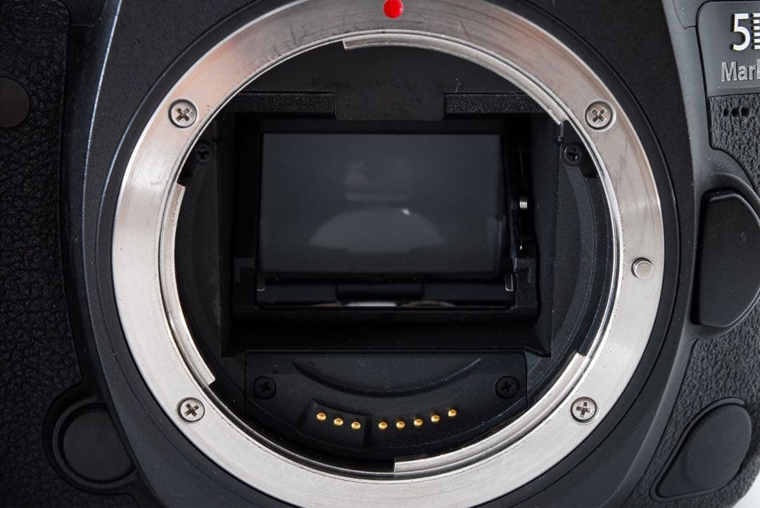 キャノン Canon EOS 5D Mark IV標準&望遠ダブルレンズセット