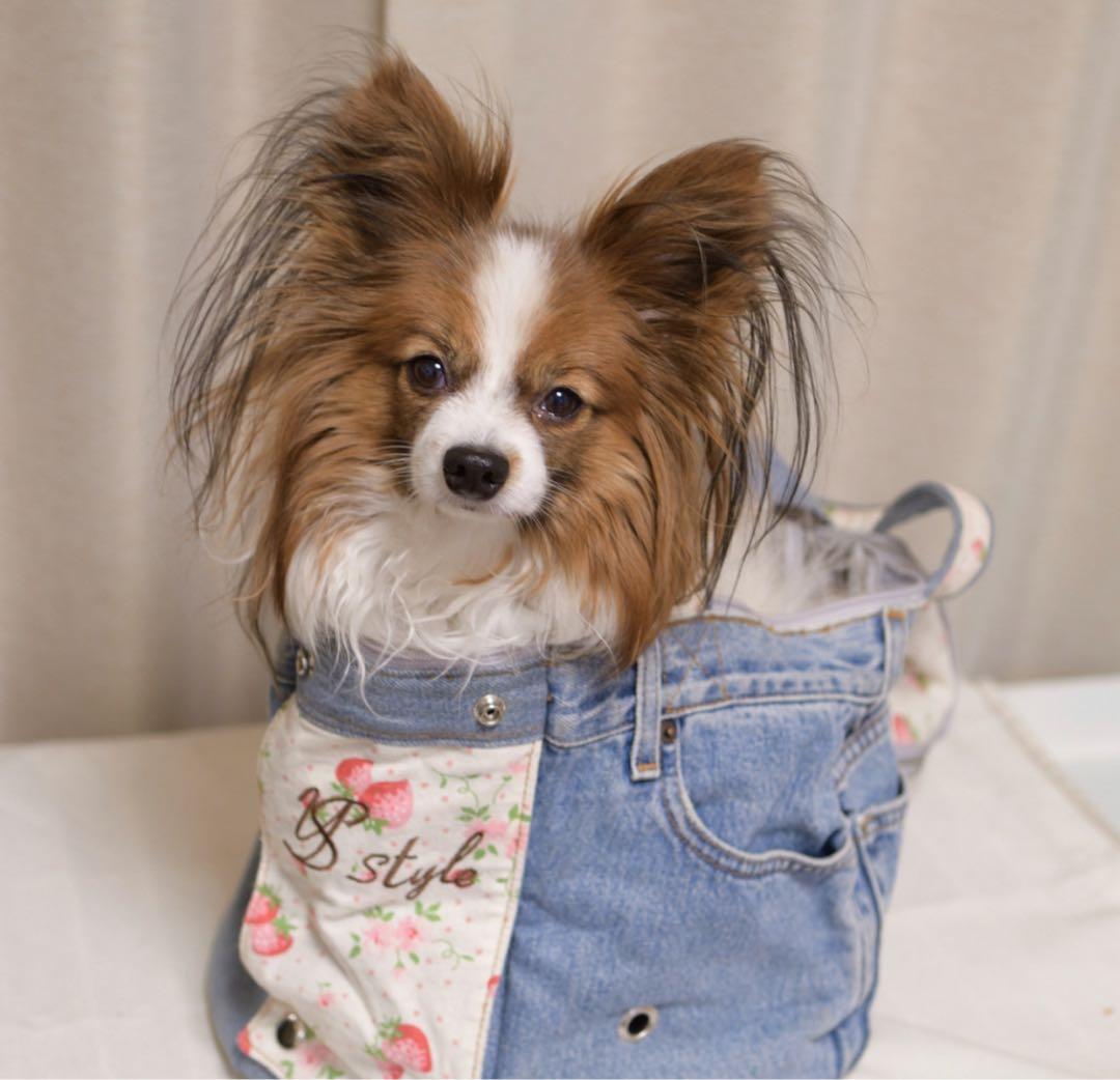 ルシアンエサヨ　タンブールTMサイズ