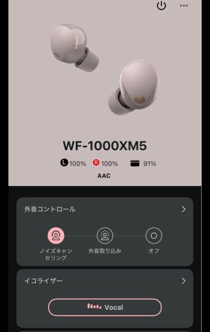 SONY ワイヤレスイヤホン WF-1000XM5 スモーキーピンク
