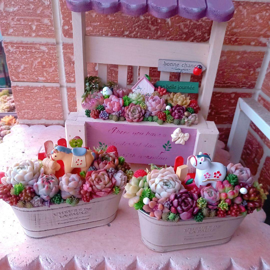 ❤️専用❤️多肉植物❤️そのまま飾れる寄せ植え❤️