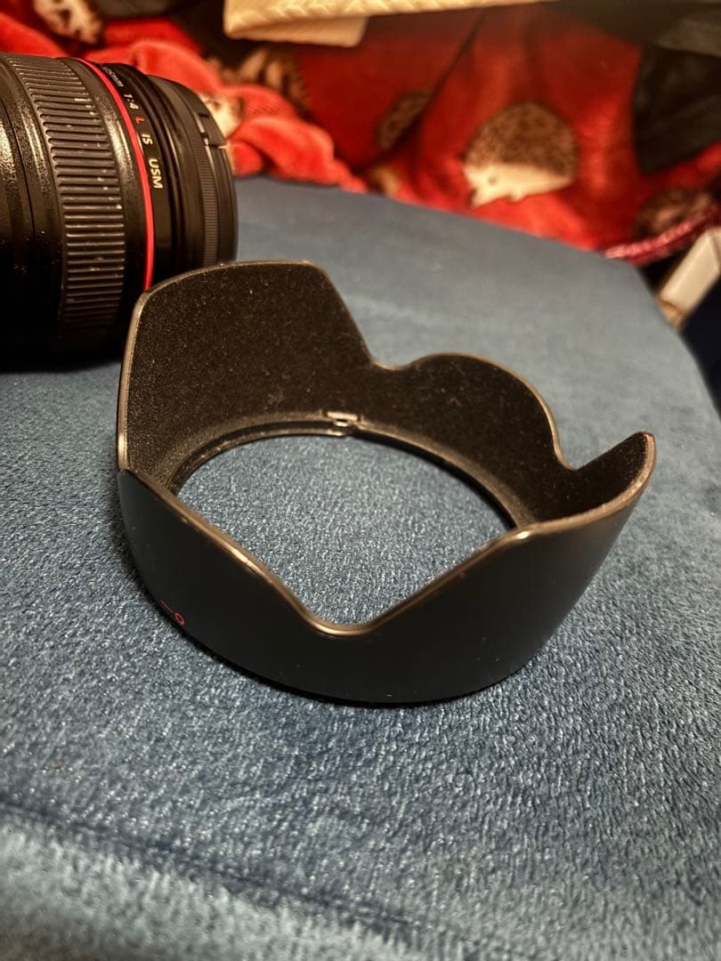 Canon Kiss 9 カメラ本体＋レンズセット(バッグ付)