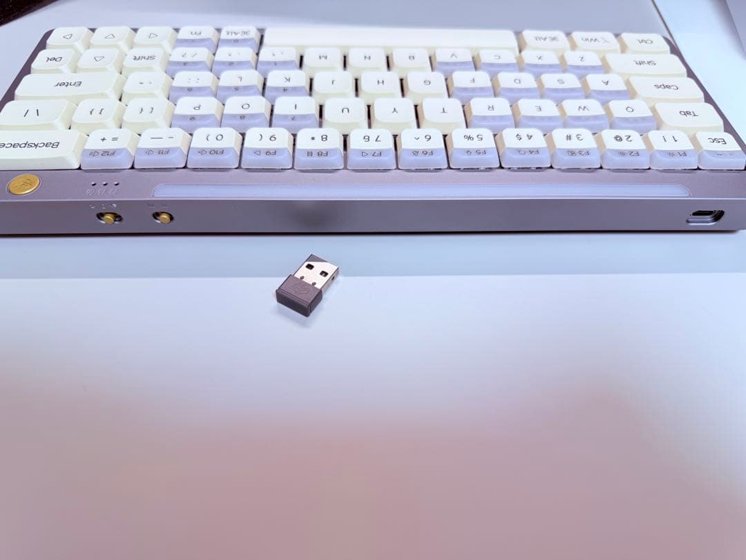 キーボード Nics Hesper64(100)