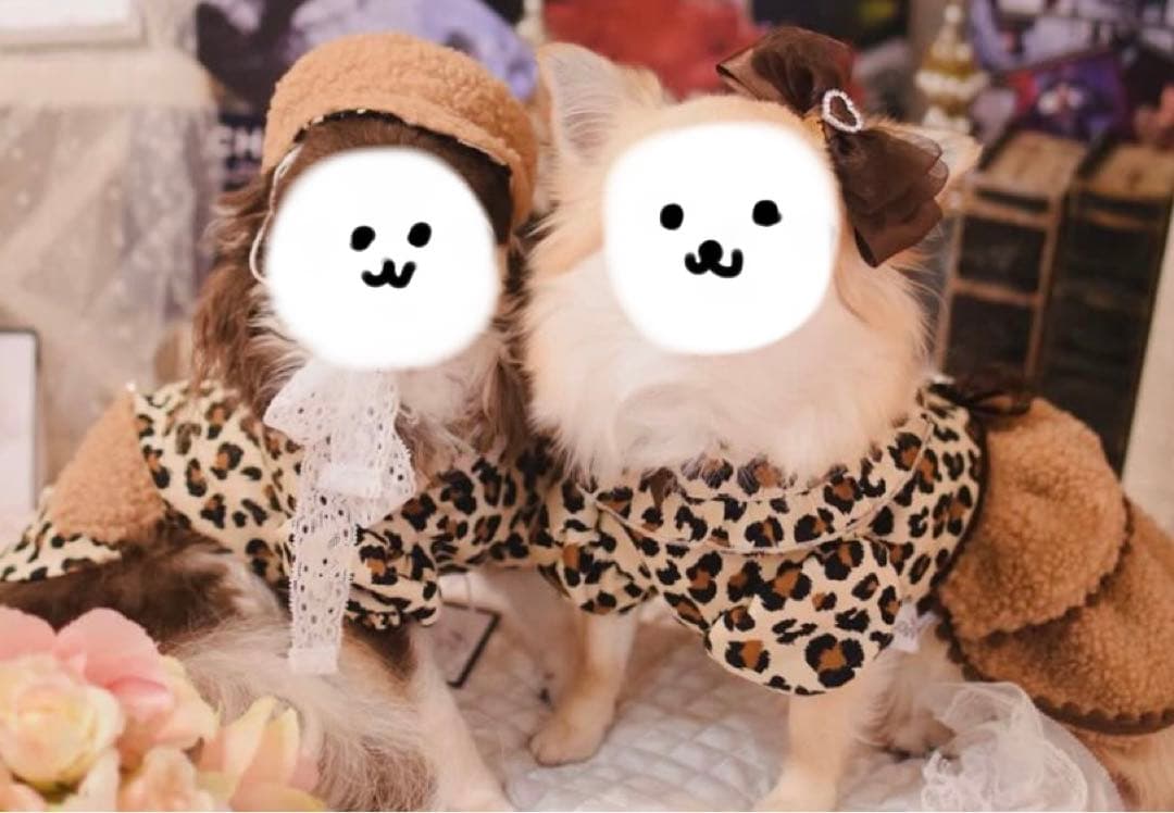 【picone×marvel】Teddybearワンピース 【マルベル】