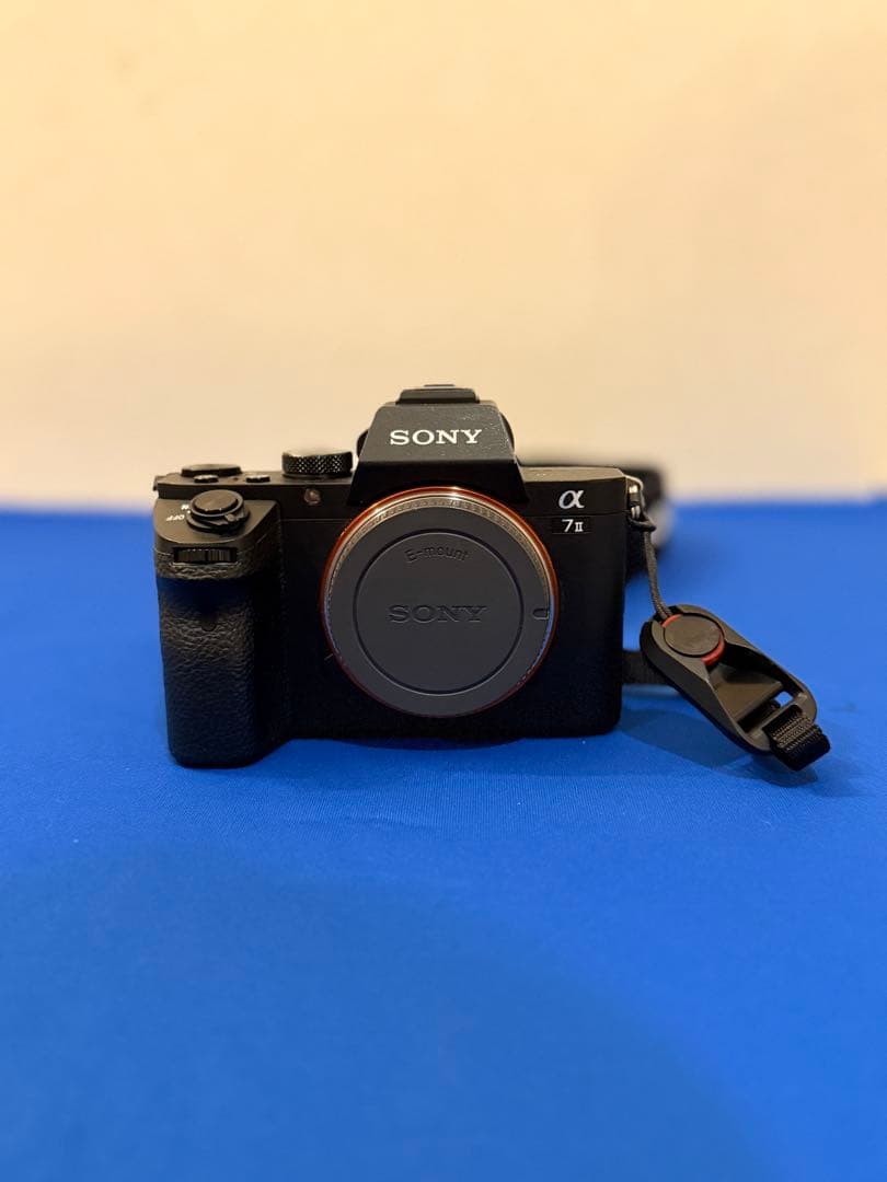 SONY α7Ⅱ ミラーレス一眼 | TAMRONレンズ | オールドレンズ