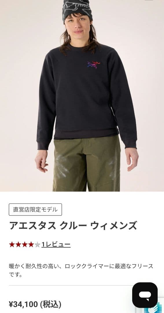 アークテリクス　アエスタスクルー　L　専用