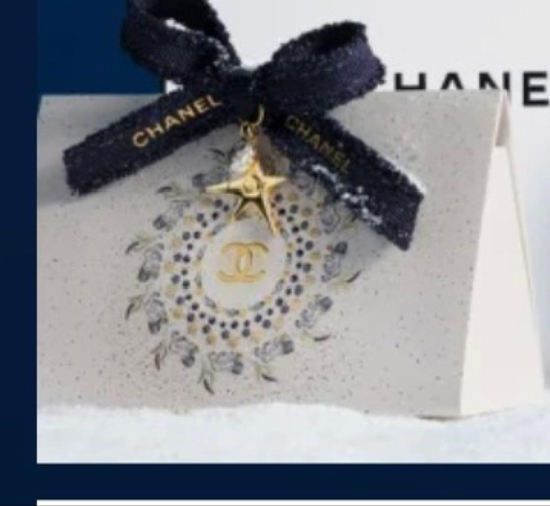 CHANEL 397 - ニュイ アストラル アイシャドウ