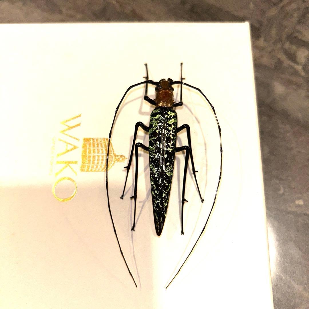 ベネチアングラス　カミキリムシ