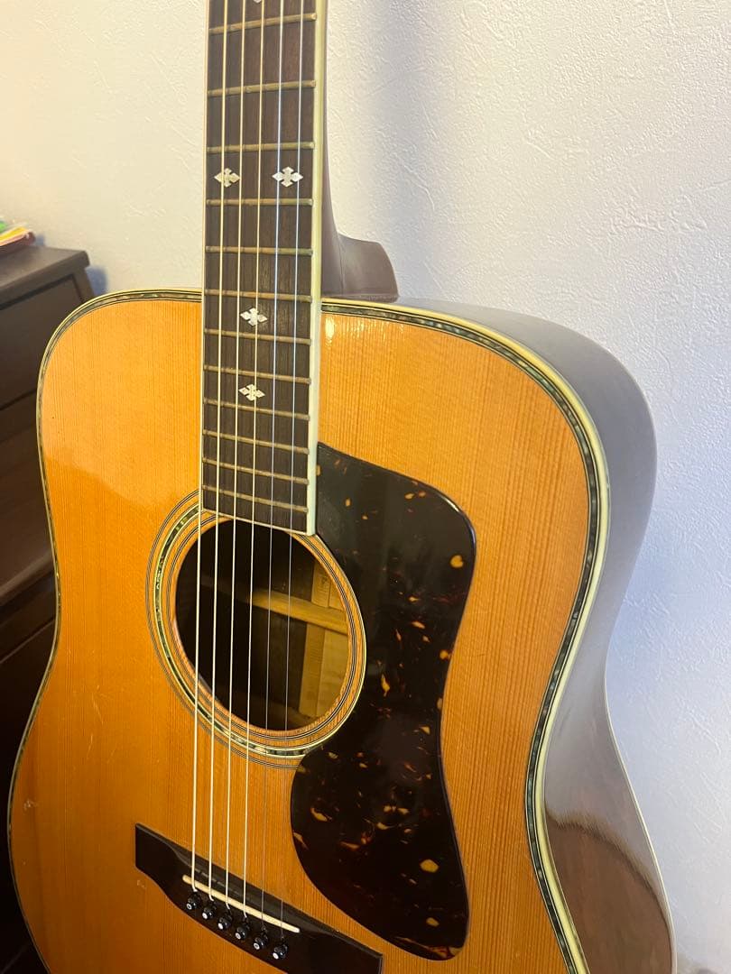 MORRIS Special 60 ハカランダサイドバック