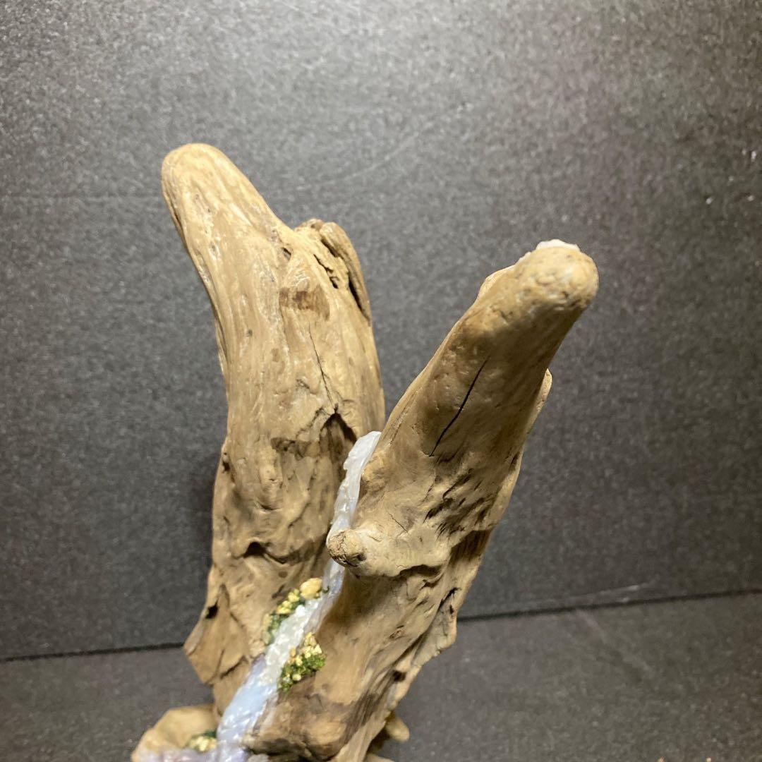 流木アート 一点もの インテリア アクアリウム