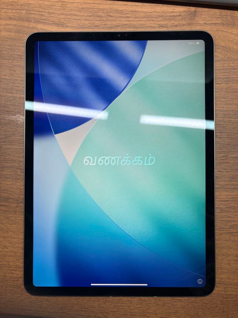 iPad Pro 第1世代 11インチ 64GB