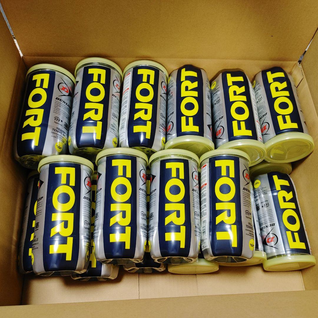 DUNLOP FORT フォート 缶テニスボール 2個入 22缶セット