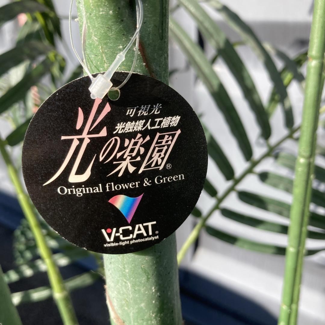 【お値下げOK】大型フェイクグリーン 光触媒人工植物 光の楽園 高さ約260cm