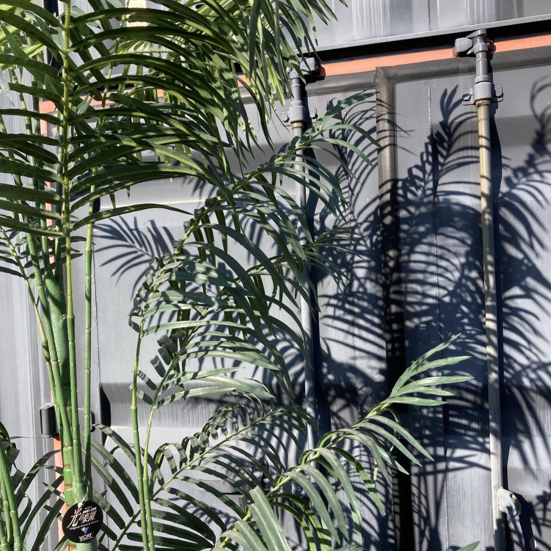 【お値下げOK】大型フェイクグリーン 光触媒人工植物 光の楽園 高さ約260cm