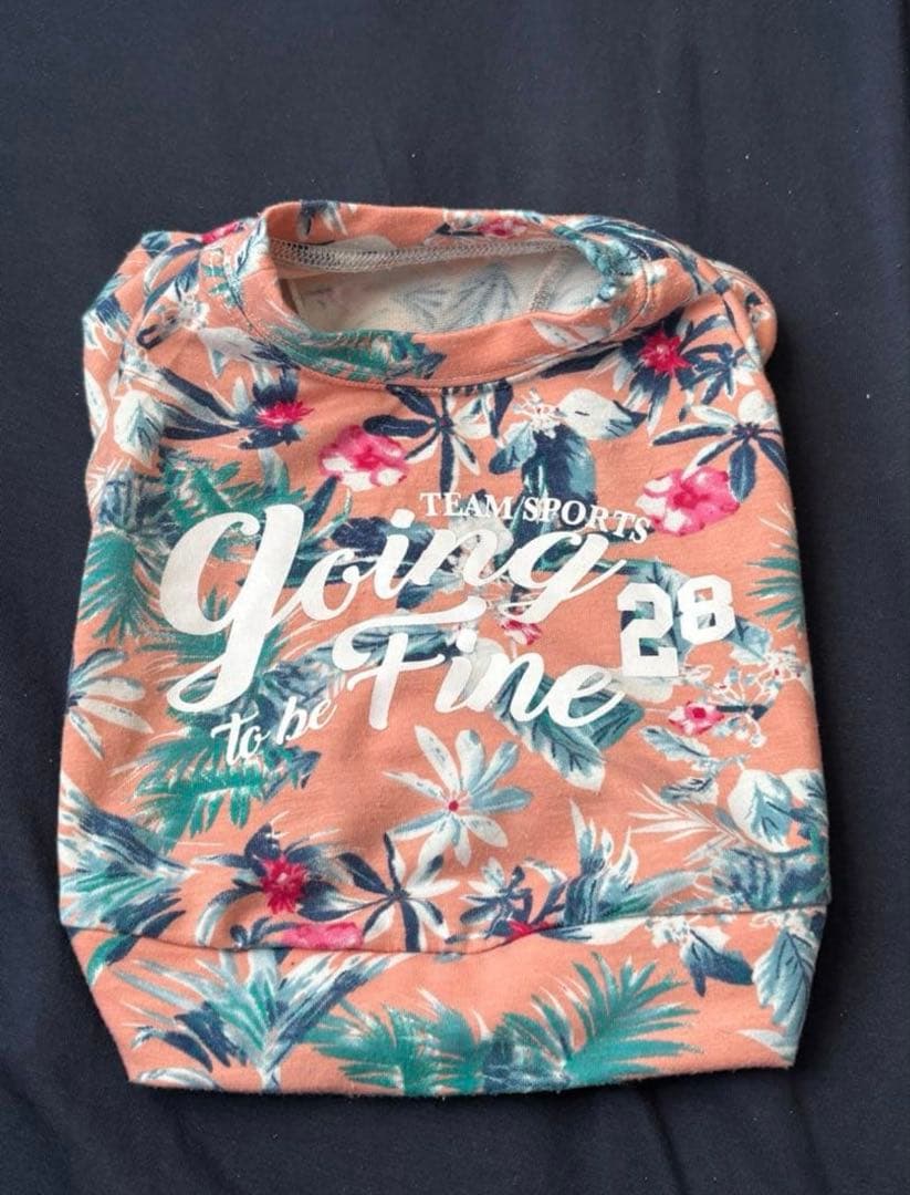 as know as de wan サイズ3 犬服　3点セット