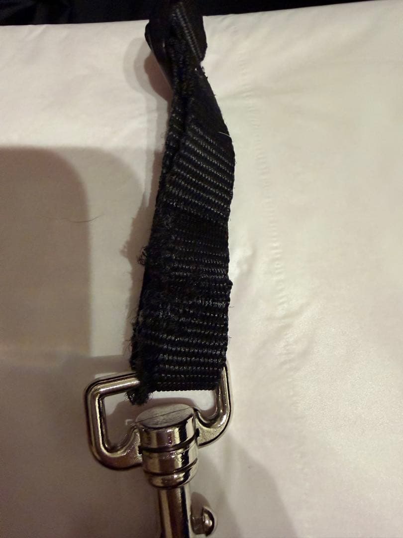 AIRBUGGY ドーム3 ペットカート