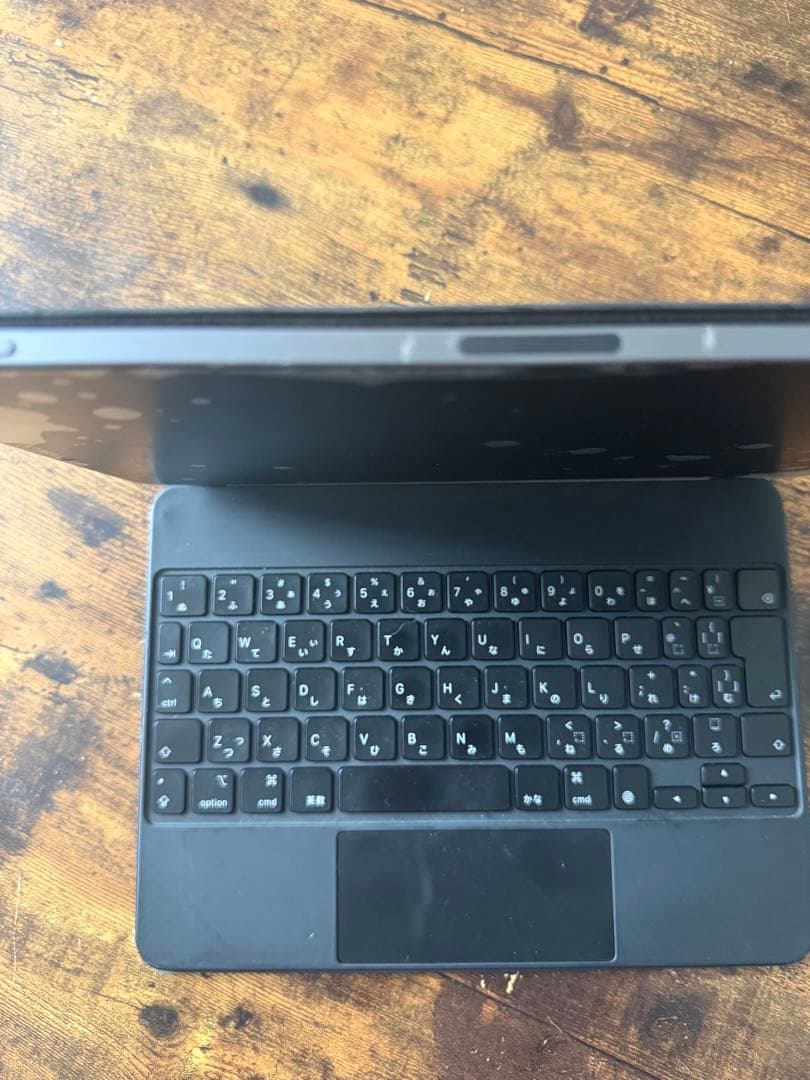 iPad Pro (第2世代) 11インチ　SIMフリー　訳あり