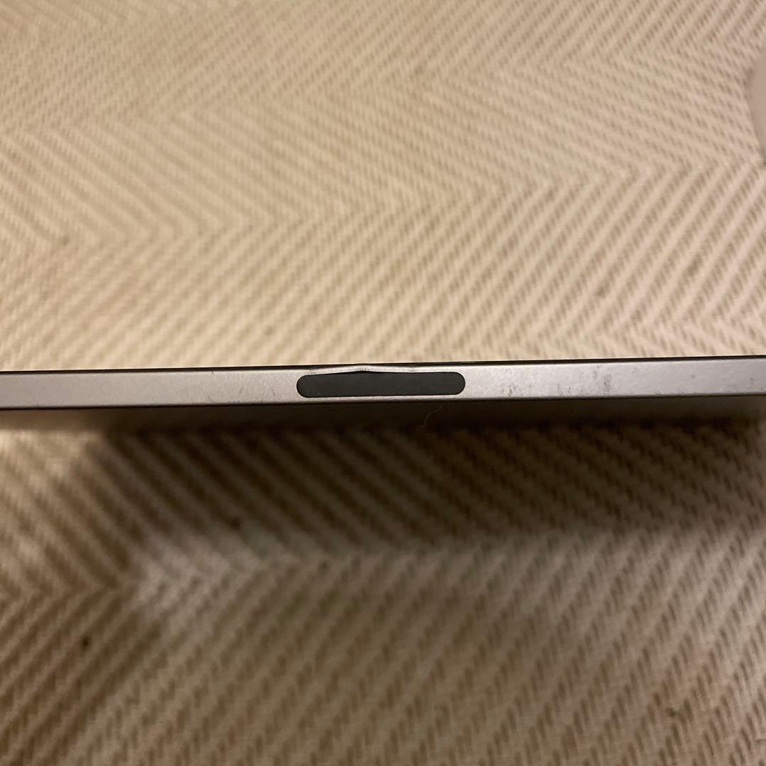 iPad pro11 第一世代　Wi-Fi 256GB 状態100%