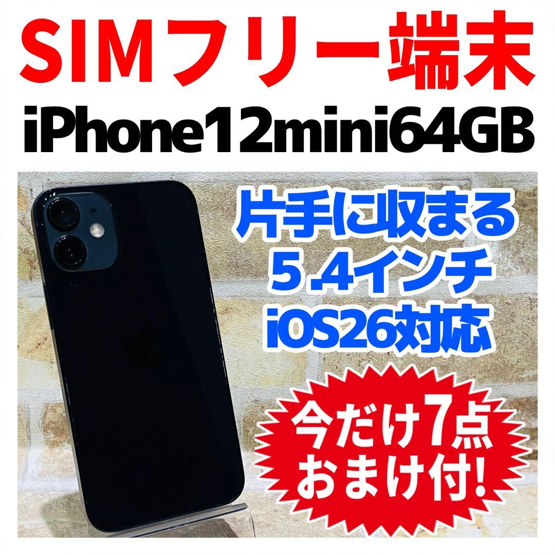 SIMフリー iPhone12mini 64GB ブラック 電池良好