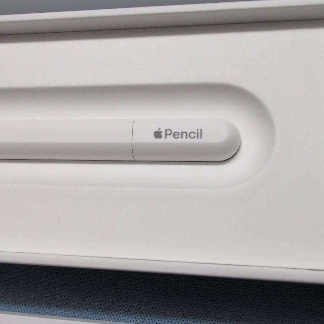 Apple Pencil USB-C アップルペンシル USBC 鉛筆