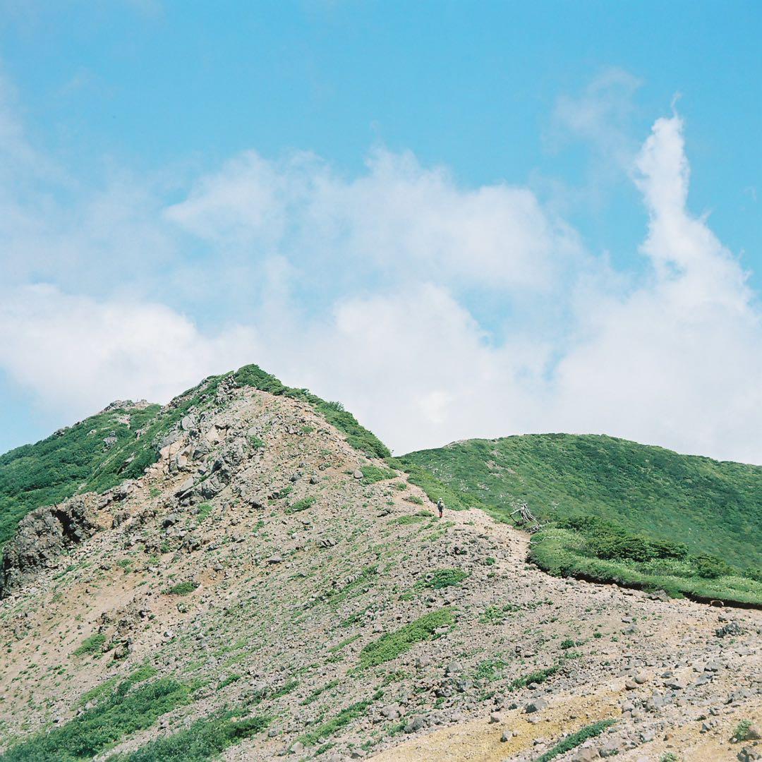 完動品◎Minolta AUTOCORD ミノルタ 二眼レフ フィルムカメラ