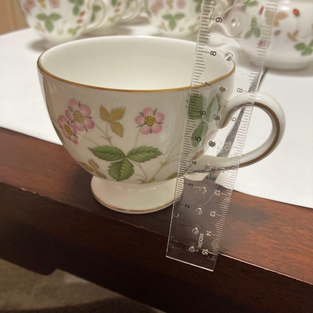 青*様  ワイルドストロベリー　大量まとめ売り