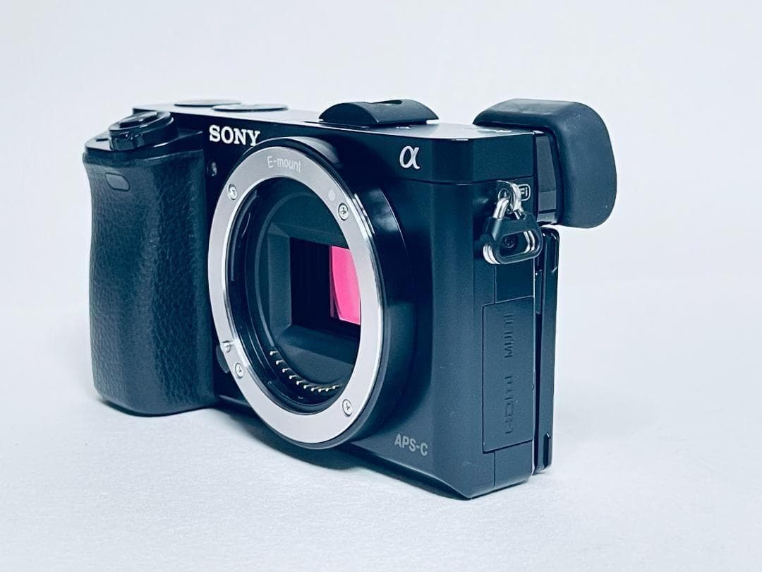 【ほぼ新品ショット数2901回】SONY α6000 ボディ ILCE-6000
