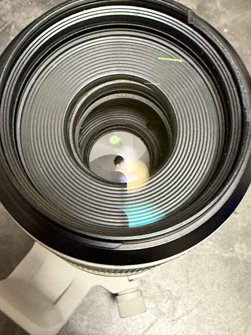 キャノン 望遠レンズ RF100-500mm F4.5-7.1 L IS USM