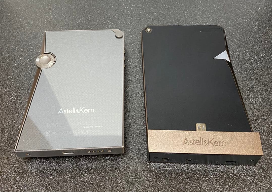 Astell&Kern AK380 AMP用Dignis本革ケースのみ