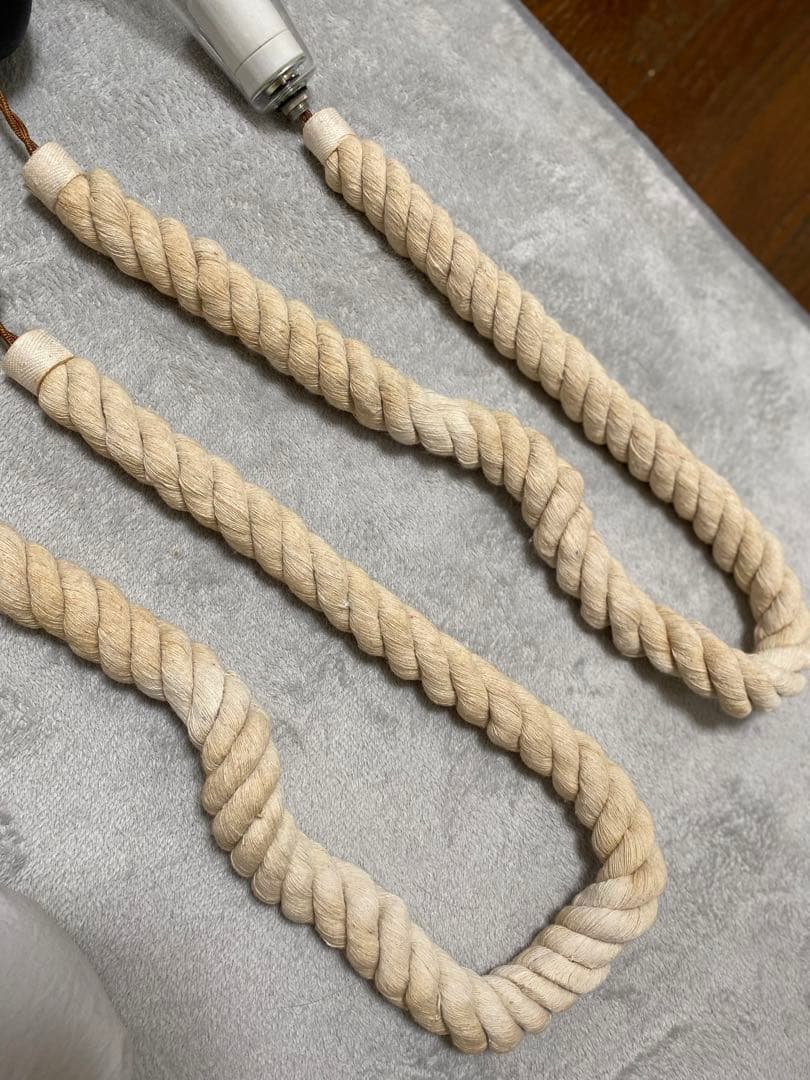 スワン電器　ハンディングライト　1つのみ7000円　2つセット13000円