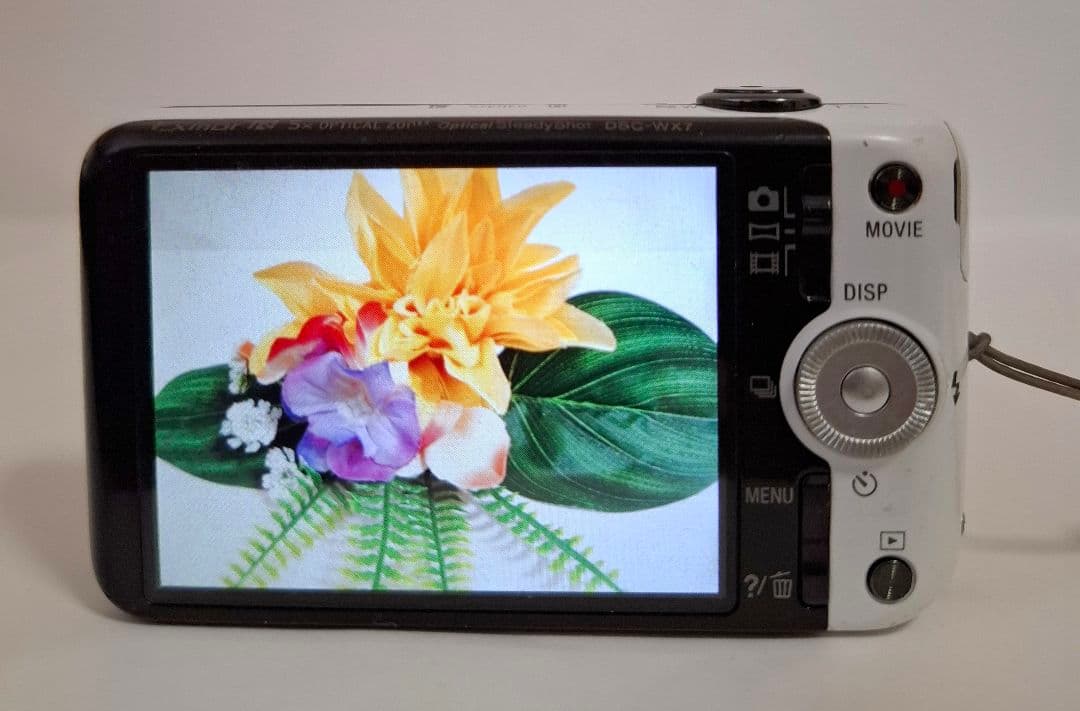 ソニー SONY Cyber-Shot DSC-WX7 デジタルカメラ