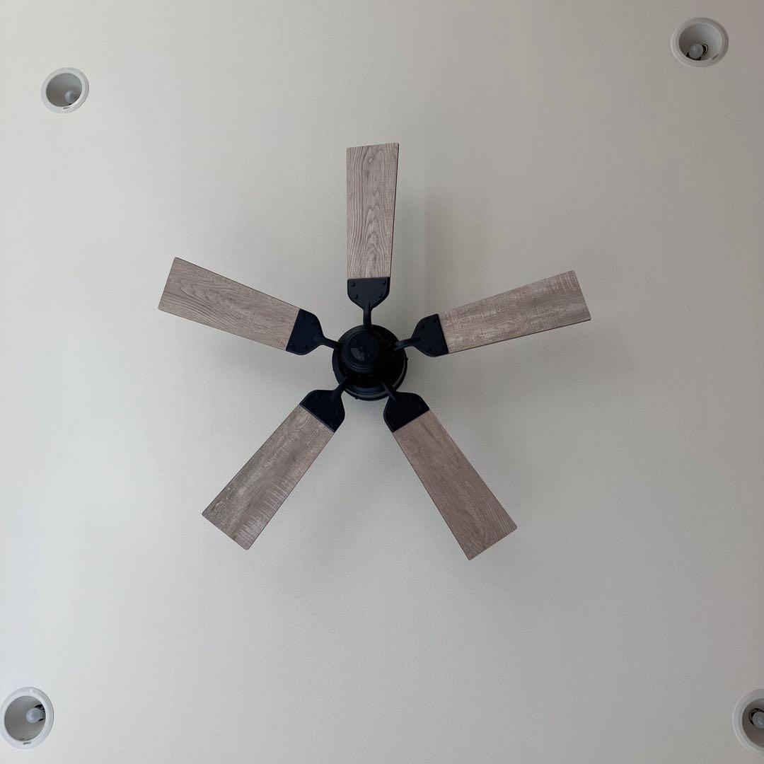 ODELICシーリングファン オーデリック wf832