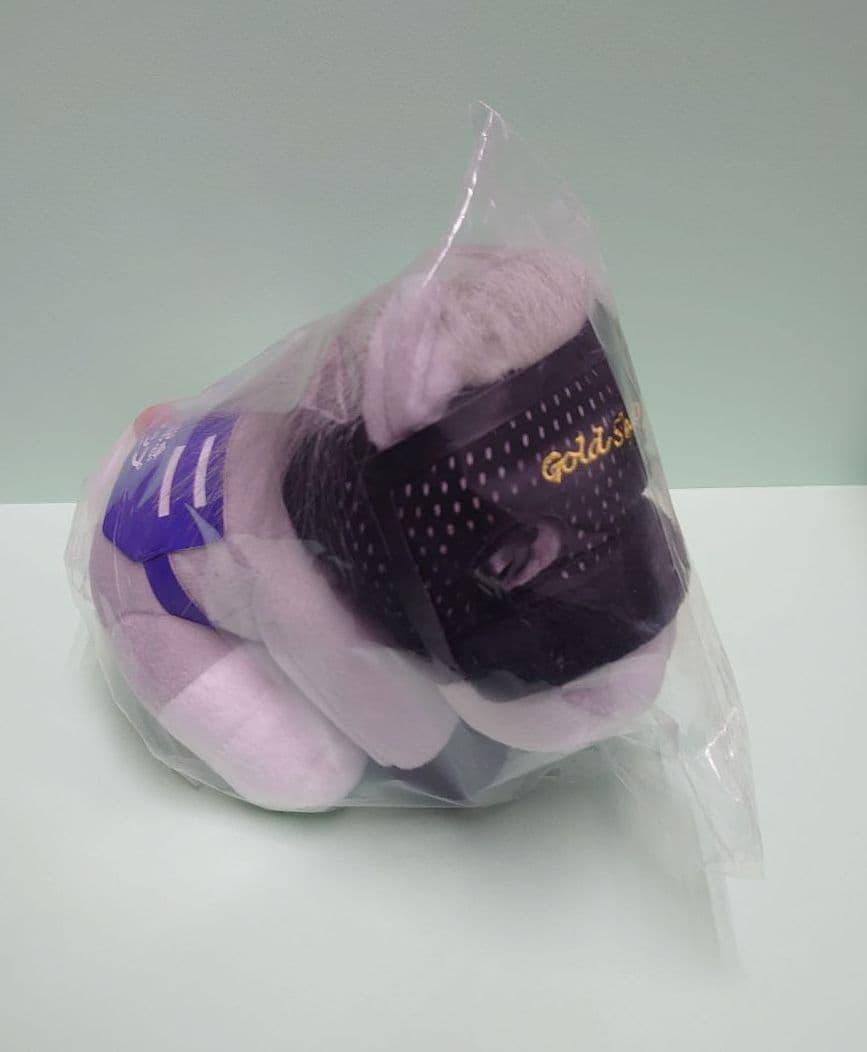 【未開封】ゴールドシップ ぬいぐるみ&Gallop写真集&引退レース馬券 ウマ娘