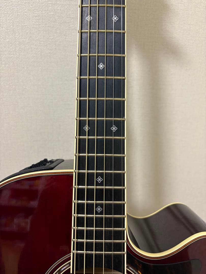 ギター Takamine DMP50S WR